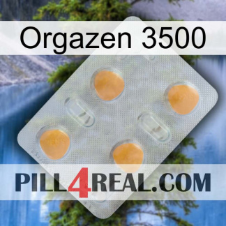 Orgazen 3500 24